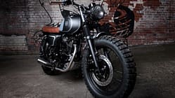 Mutt Mastiff 125