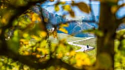 Ride 7 Tourentipp- Spessart Tour