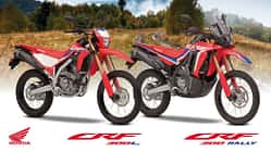 Honda CRF 300 L/Rally