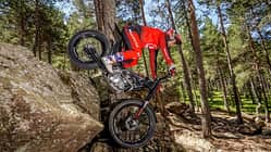 Montesa Cota 4RT260R 2022
