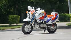 Honda Monkey Baja Africa Z 50 J (1992)