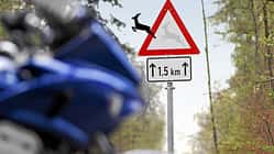 Wildunfälle mit Motorradfahrern