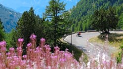 Pass-Porträt Cayolle