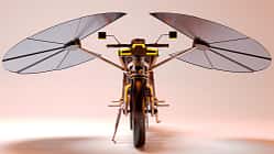 Mask Architects Solaris Solar-Elektro-Motorrad