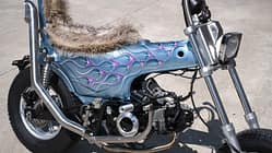 Honda Dax 125 Mini-Custombike Chopper von Fever Custom Honda Dax 125 Mini-Custombike Chopper von Fever Custom