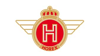 Horex VR6