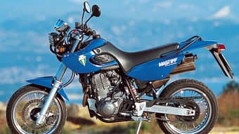 MZ Mastiff