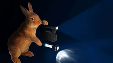 Fummeln im Darkroom
