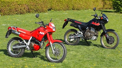 Honda NX 650 Dominator im Fokus