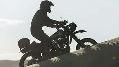 Harley-Davidson 1200 Roadster Desert Wolve.