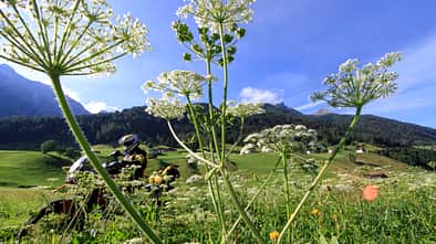 RIDE 07 - Tirol - Stubaier Alpen Tourentipp