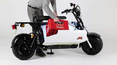 Fat Albert Elektroroller Lastenroller mit Kofferraum (2023)