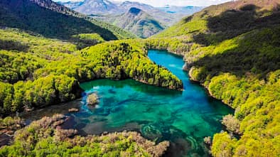See, Montenegro, Urwald, National Park