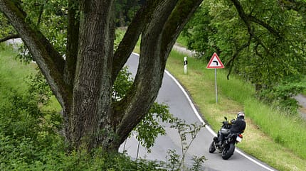Leben, Reise, Odenwald Odenwald
