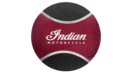 Indian Hunde T-Shirt
