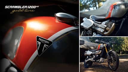 10/2021, Triumph Gold Line Edition Triumph Gold Line Edition