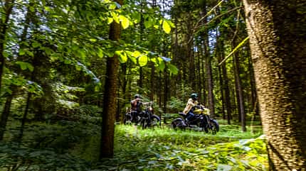 BAYRISCHER WALD,RIDE ARTURO RIVAS
