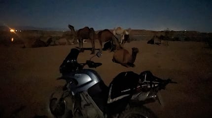 Reise Leserstory 14-Länder-Tour nach dem Abi