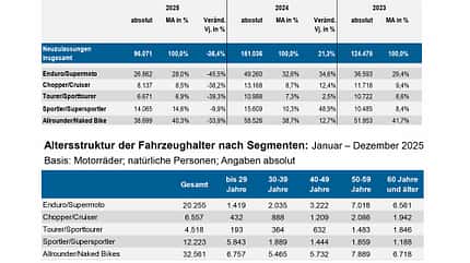 Neuzulassungen JanDez2025 Neuzulassungen JanDez2025
