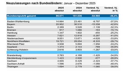 Neuzulassungen JanDez2025 Neuzulassungen JanDez2025