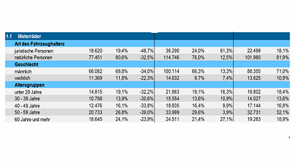 Neuzulassungen JanDez2025 Neuzulassungen JanDez2025