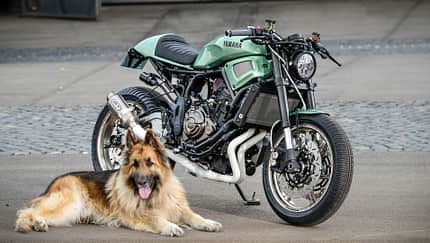 Yard-Built-Projekt von Yamaha-Klein