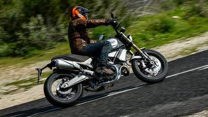 Große, erwachsene Scrambler