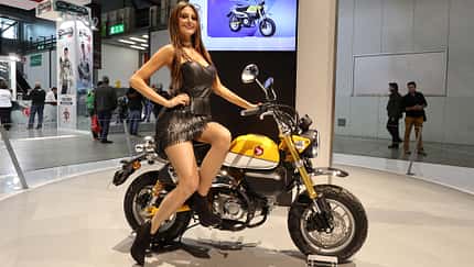 Café Racer, Monkey & Co.