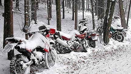Winter