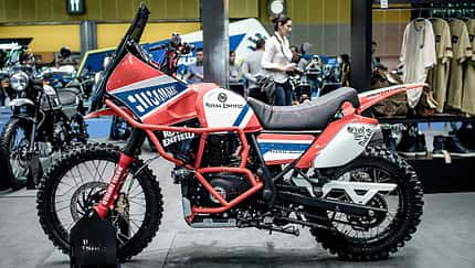 Himalayan im Rallye-Look