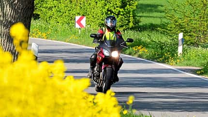 Im Sog des Nordens
