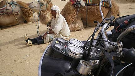 Operation Sahara
