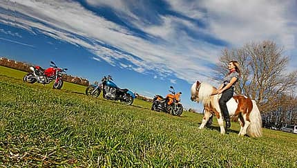 Low-Rider: Motorräder für Kurzgewachsene