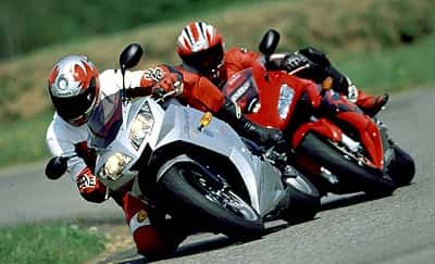 Gierige Blicke