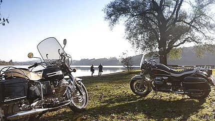 California Dreams