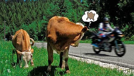 Neun klassische Fahreranzüge aus Rindsleder im Test, plus Pflegetipps für Ihre Lederkombis