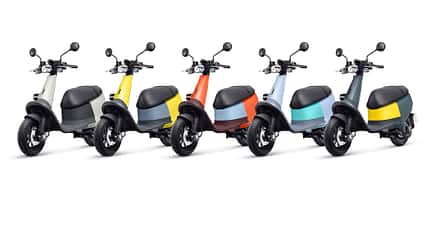 Gogoro Viva Elektroroller 2020