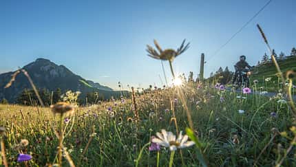 Zwischen Vierwaldstätter-, Sarner- und Brienzersee