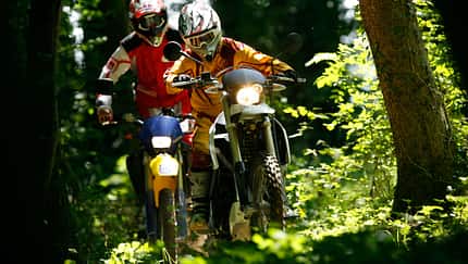 Enduro Wald Offroad Rumänien