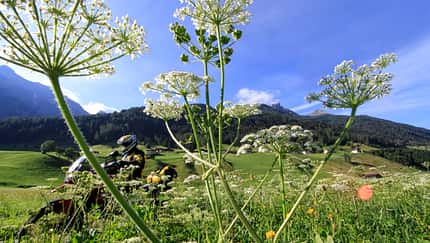RIDE 07 - Tirol - Stubaier Alpen Tourentipp