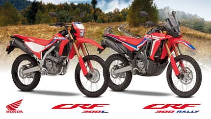 Honda CRF 300 L/Rally