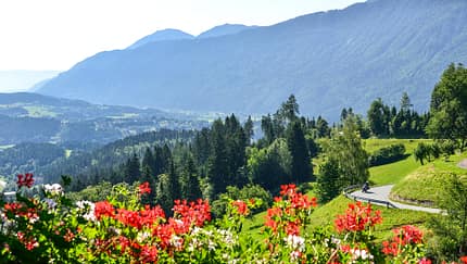 In Kärnten und der Steiermark