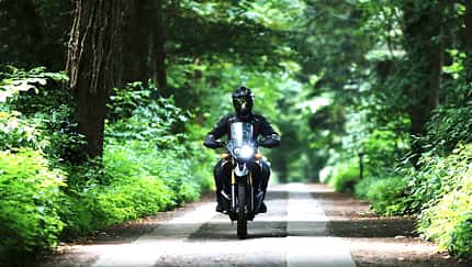 Ein betuliches Fahrerlebnis