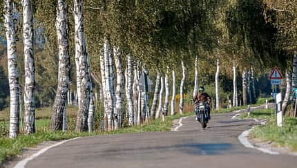 Rund um den Federsee und Bussen
