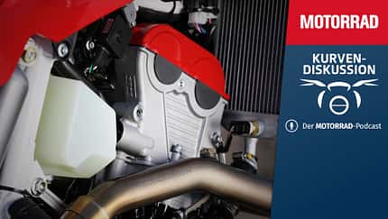 Die Wundertüte #4a - Exoten & Kuriositäten