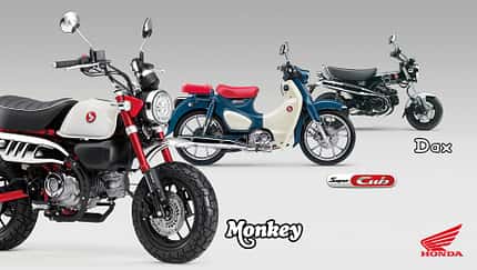 Honda Monkey, Dax und Super Cub (2025)