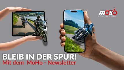 MoHo Newsletter