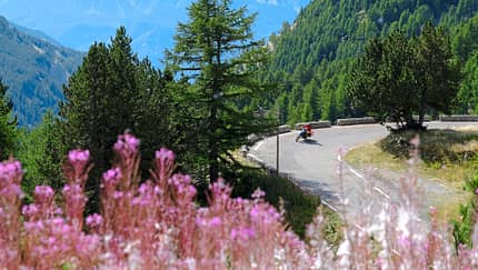 Pass-Porträt Cayolle