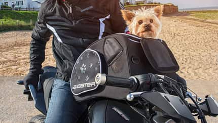 Bagster Puppy