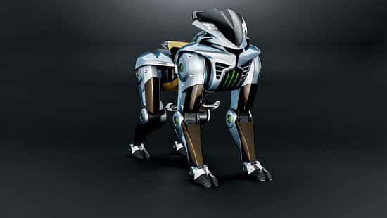 Kawasaki Corleo